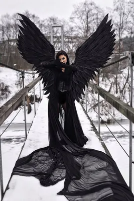 Black angel wings