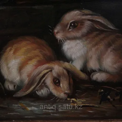 Английские кролики. Современная работа. (id 79537578)