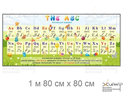 Обучающий плакат Английский алфавит с транскрипцией в школу ЗАЙЧИКОВА  173621838 купить за 270 ₽ в интернет-магазине Wildberries
