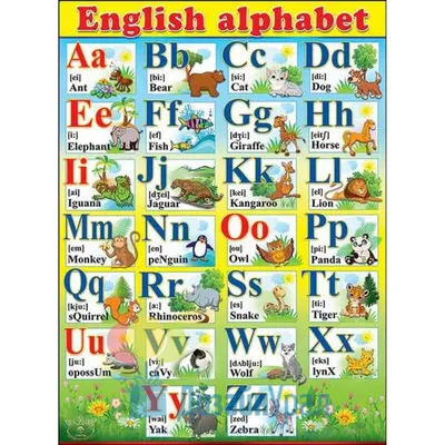 Плакат обучающий "Английский алфавит - Животные", А3 (30х42 см), 1 шт,  Печатник - купить с доставкой по выгодным ценам в интернет-магазине OZON  (241707325)