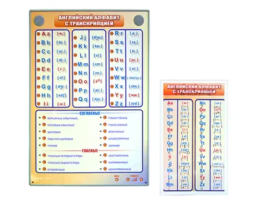 Плакат пиши-стирай 42*60см "Английский алфавит" - Элимканц