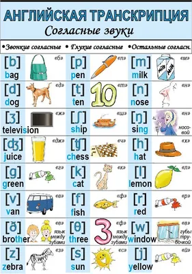Новые карточки нашей рубрики для Вас ❤⠀ Учим английский язык с детками с  помощью карточек с русской транскрипцией 💬⠀ Сохрани… | Английский, Английский  язык, Язык