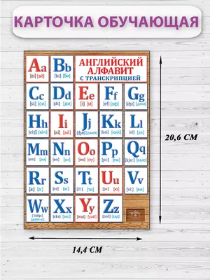 Английский словарь для малышей в картинках. В. Державина — купить книгу в  Минске — 