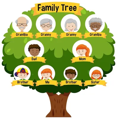 Vector concept of family tree, circle of relatives, genealogy pattern.  Portrait of family members all generations. Family extended portrait photo  album page concept. Family vocabulary english words. Stock Vector | Adobe  Stock