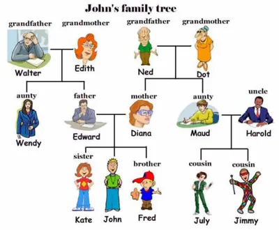 Educational English word card of family members 3509514 Vector Art at  Vecteezy