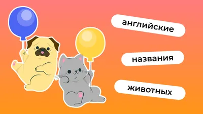 Игры для детей на английском по теме «Животные»