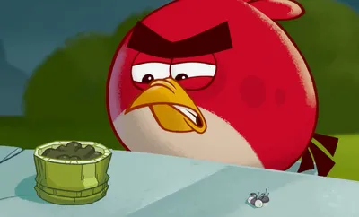 Блейк | Angry Birds Фанон Вики | Fandom