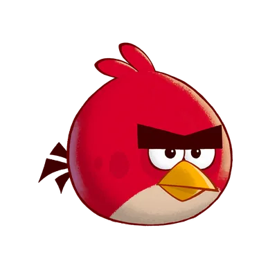 Angry Birds – мировой феномен. Птиц придумали благодаря свиному гриппу и  запускали на орбиту Земли - Bugun yangiliklar: O'zbekiston va dunyodagi eng  so'nggi yangiliklar — 