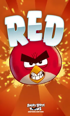 Angry birds птиц #6