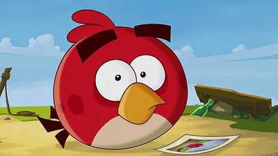 Art of The Angry Birds Movie