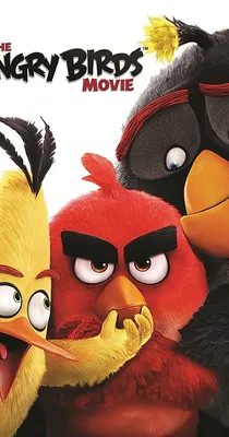 Prime Video: The Angry Birds Movie