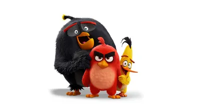 Angry Birds All Characters: Pig and Angry Bird Abilities Explained