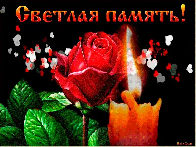подари цветы | Записи в рубрике подари цветы | Добрые открытки :  LiveInternet - Российский Сервис Онлайн-Дневников