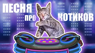 ПРЕВОСХОДНО! #😎 #cat #kitty #alightmotion #монтаж #анимация #котики ... |  TikTok