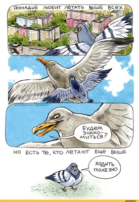 страница 2 | 3d анимация птиц Изображения – скачать бесплатно на Freepik