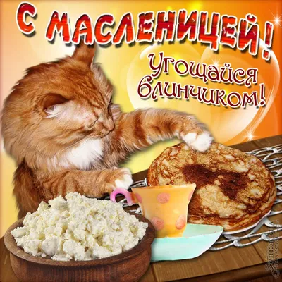 Приглашение на масленицу! — Бесплатные открытки и анимация