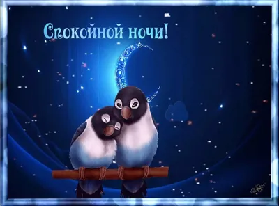 Необычные картинки "Спокойной ночи!" (190 шт.)