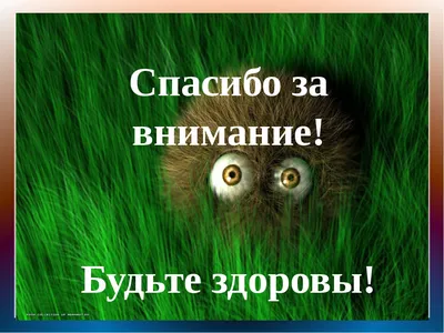 СПАСИБО ЗА ВНИМАНИЕ!🙈 Именно так заканчиваются многие презентации!  Согласны, что это уже приелось, да и ни к какому действию не… | Instagram