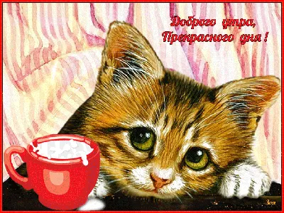 Яндекс Картинки Доброе Утро Хорошего Дня – Telegraph