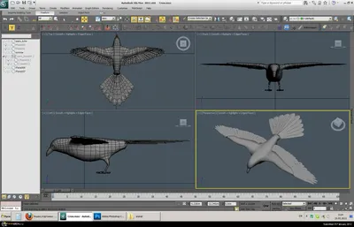 Создание и анимация птицы - Форум о компьютерной графике 