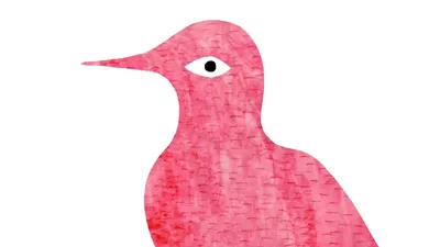 птицы PNG рисунок, картинки и пнг прозрачный для бесплатной загрузки |  Pngtree