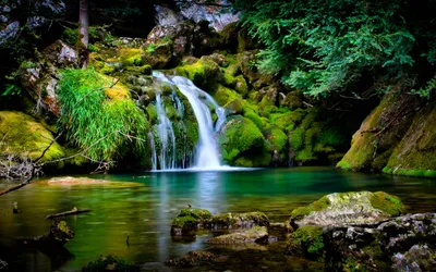 Живые обои водопад анимация: фото, изображения и картинки