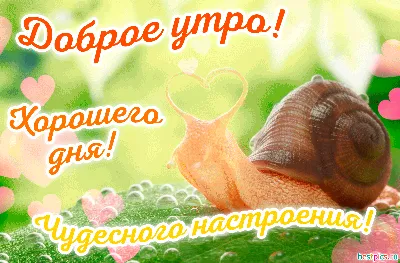 Доброе утро ! Хорошего дня ! Чудесного настроения ! (гифка)