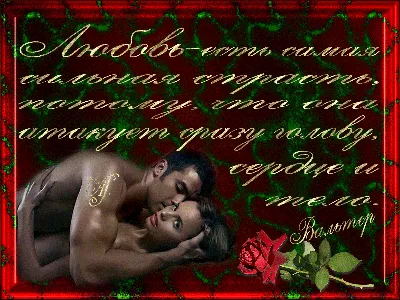 Чувства, эмоции, страсть, любовь, поцелуй, желание друг друга, love story |  Пляжные фотосессии, Фотосессия, Красивые розы