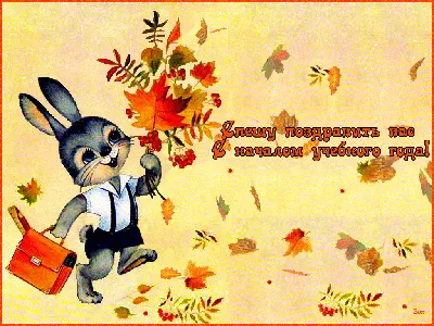 С 1 СЕНТЯБРЯ! С ДНЁМ ЗНАНИЙ! 🍁 Поздравляем всех школьников, родителей,  учителей с началом учебного года! 🍁 Желаем лёгкой и интересной… | Instagram