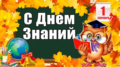 День знаний» Развлекательная программа. 2023, Петровский район — дата и  место проведения, программа мероприятия.