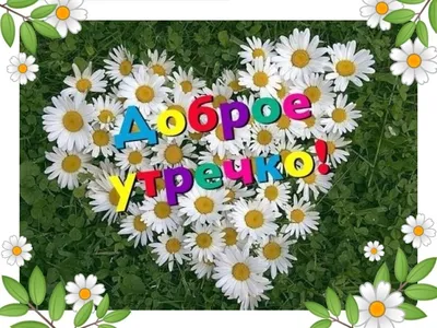 Летнее Утро доброе! 🍃🌼🌿 | Доброе утро, Открытки, Счастливые картинки