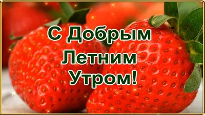 С Добрым Летним Утром! Пусть сияющее утро только радость принесёт! Красивое  пожелание доброго утра!🌞 - YouTube