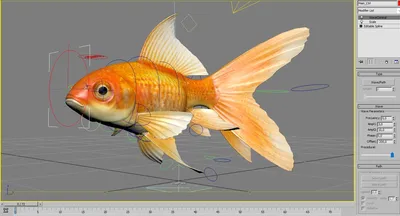 Книжка-раскраска "Золотая рыбка"21*28 арт. 10230