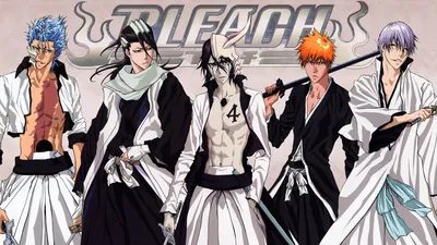 Мужское Худи Улькиорра Сифер Блич Anime с Вышитым Логотипом | Кофта  Ulquiorra Cifer Bleach Аниме (ID#1914271542), цена: 1075 ₴, купить на  