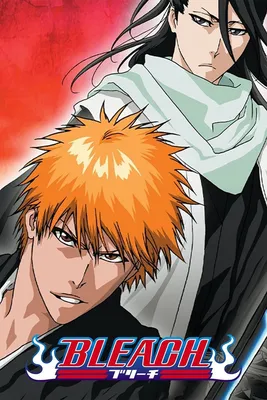 Bleach (TV Series 2004–2023) - Plot - IMDb