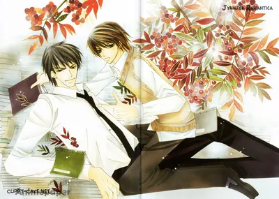 Спортивная бутылка для воды Junjou Romantica 3 Manga - купить недорого