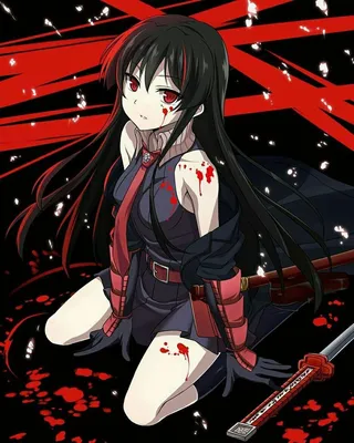 Pin by Raditya on Akame Ga Kill | Anime girl, Akame ga, Female anime