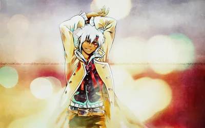 Photo D. Gray-Man Anime