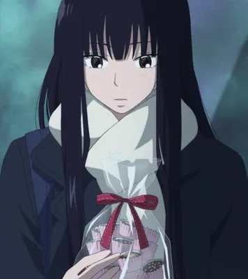 Kimi ni Todoke / Аниме