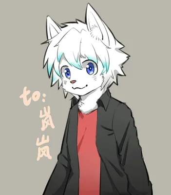 Lin as a adult | Furry drawing, Anime furry, Anthro furry