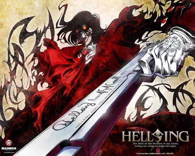 Обзор аниме Hellsing Ultimate («Хеллсинг OVA», «HELLSING OVA») | @Anime  Dreamer@ | Дзен