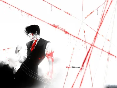 Images Hellsing Anime