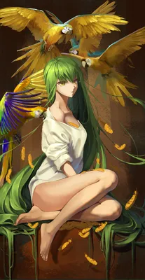 Обои Аниме Code Geass, обои для рабочего стола, фотографии аниме, code  geass, девушка, лежит, зелёные, волосы, чёрный, фон, код, гиас, взгляд Обои  для рабочего стола, скачать обои картинки заставки на рабочий стол.