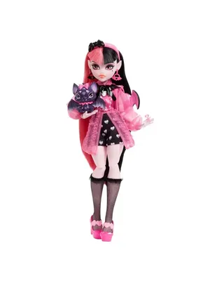 Кукла Монстер Хай Дракулаура с питомцем и аксессуарами Monster High  162516933 купить в интернет-магазине Wildberries