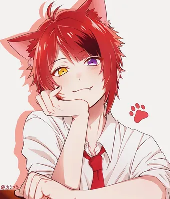 Pin by So Lu on Anime | Anime cat boy, Anime chibi, Anime girl neko