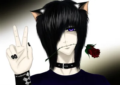 Pin by rei on Аниме | Anime neko, Cute anime guys, Anime cat boy