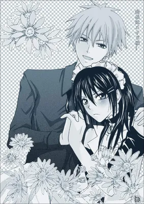 Президент Студсовета - Горничная! / Kaichou wa Maid-sama! - «Может ли  служанка, быть президентом? » | отзывы