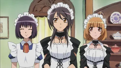 Kaichou wa Maid-sama! / Аниме