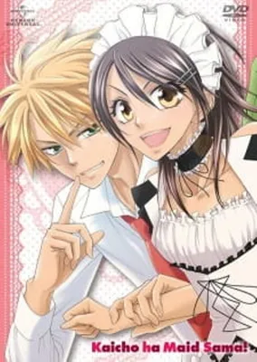 Президент Студсовета - Горничная! / Kaichou wa Maid-sama! - «Сильная  женщина ≠ адский зверь!» | отзывы