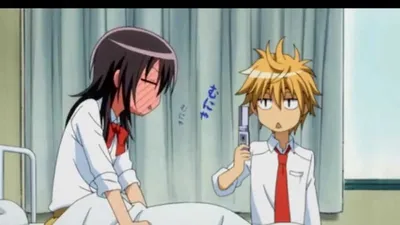 Kaichou wa Maid-sama! / Аниме